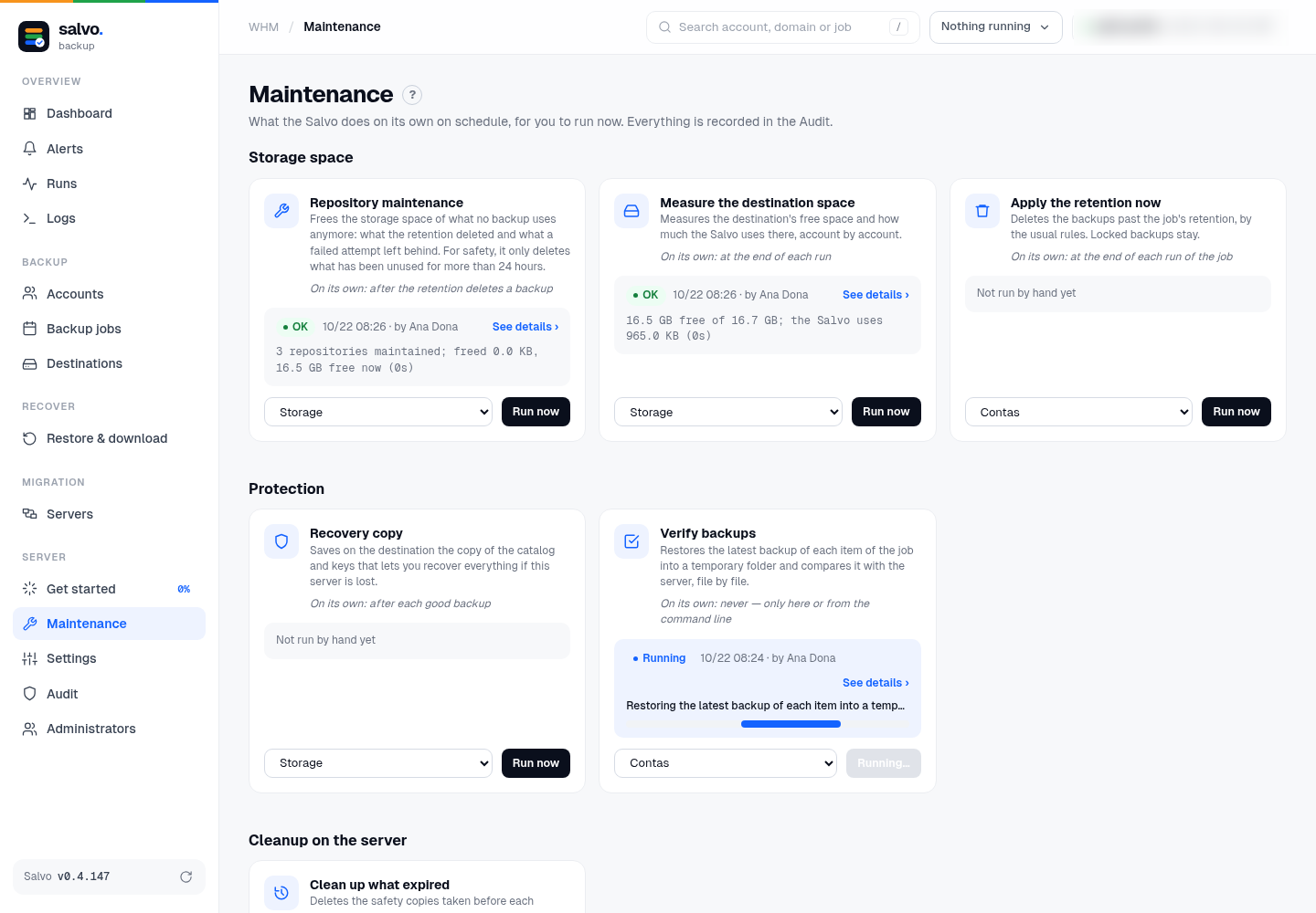 Maintenance: the actions, their last run and Run now